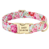Dog Tag Collar Personalized
