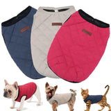 French Bulldog Chihuahua Dog