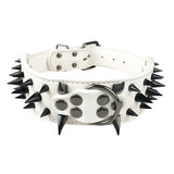 2" Wide Sharp Spiked