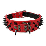 2" Wide Sharp Spiked