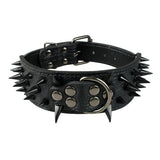 2" Wide Sharp Spiked