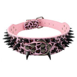 2" Wide Sharp Spiked