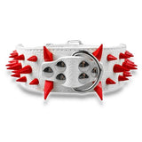 2" Wide Sharp Spiked