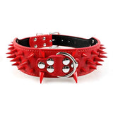 2" Wide Sharp Spiked