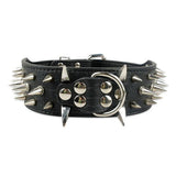 2" Wide Sharp Spiked