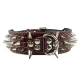 2" Wide Sharp Spiked