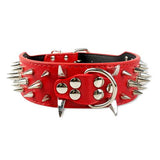 2" Wide Sharp Spiked