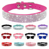 Puppy Cat Collars Leather