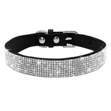 Puppy Cat Collars Leather