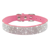 Puppy Cat Collars Leather