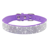 Puppy Cat Collars Leather