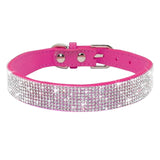 Puppy Cat Collars Leather