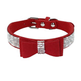 Puppy Cat Collars Leather