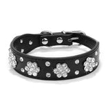 Puppy Cat Collars Leather