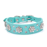 Puppy Cat Collars Leather
