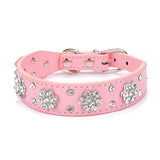 Puppy Cat Collars Leather