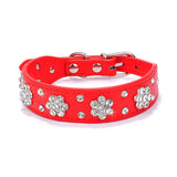 Puppy Cat Collars Leather