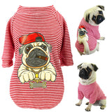 Cute Dog Clothes For Small