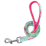 Dog Collar Custom Tag Collar Leash