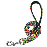 Dog Collar Custom Tag Collar Leash