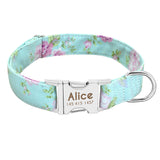 Dog Collar Custom Tag Collar Leash