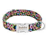 Dog Collar Custom Tag Collar Leash