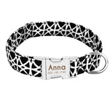 Dog Collar Custom Tag Collar Leash