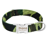 Dog Collar Custom Tag Collar Leash