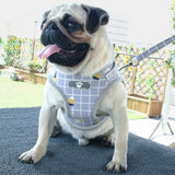 4 Style Dog Harness Soft Mesh